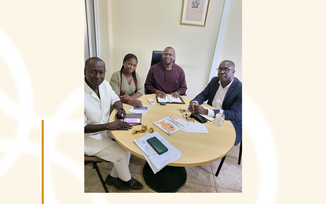 Reunião de Direção do Grupo Ensinus na Guiné-Bissau